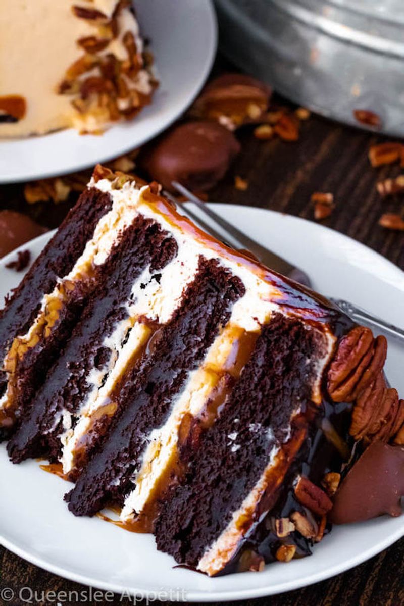 Layer Turtle Cake