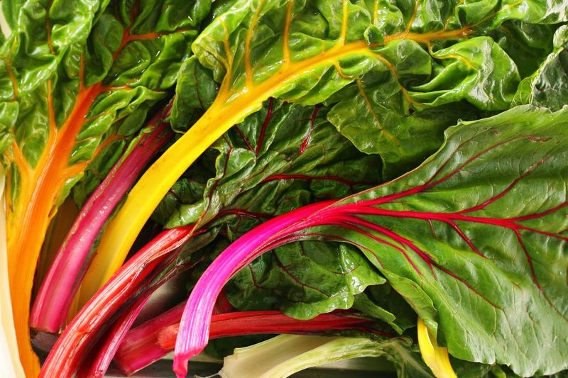 Swiss Chard: The Colorful Leaf Powerhouse