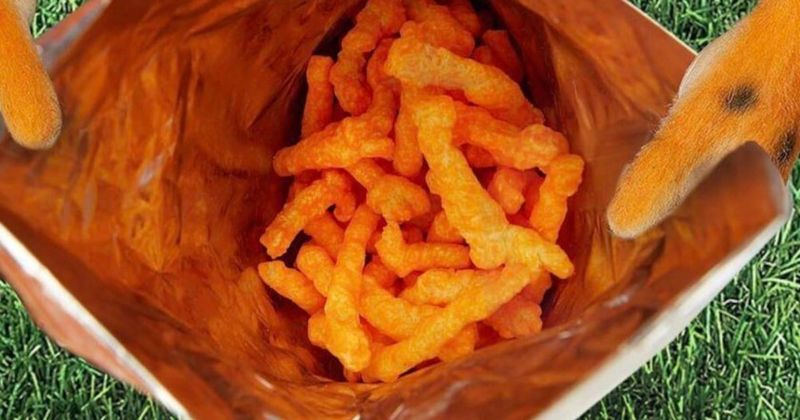 Cheese Puffs