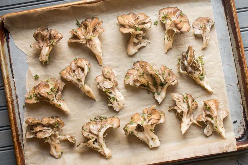 Maitake Mushrooms