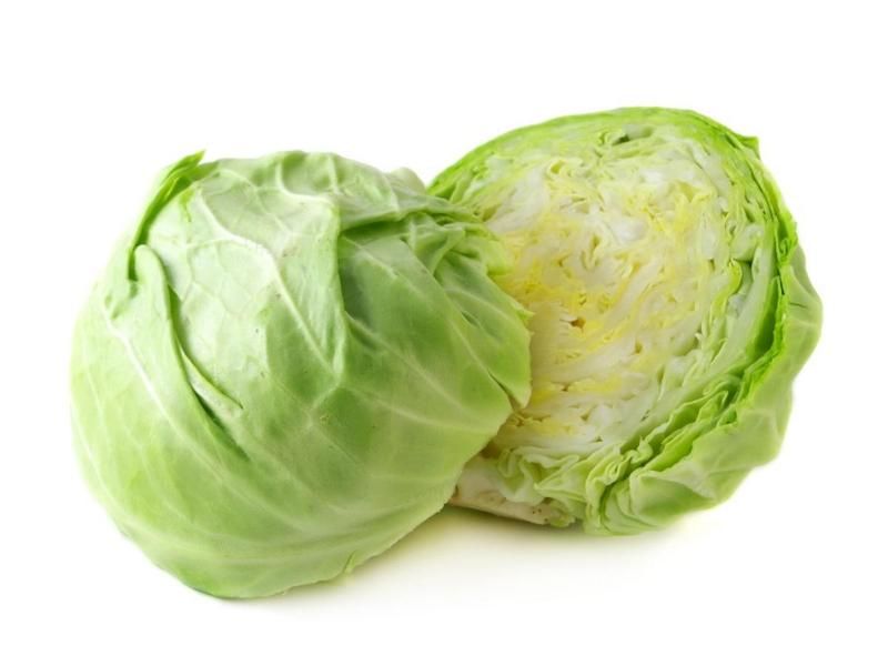 Cabbage