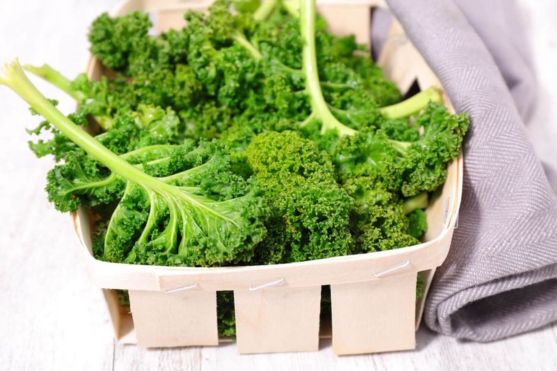 Kale