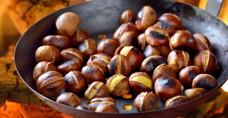 Ranking the 10 Best Nuts for Your Health—From Bottom to Top Pick