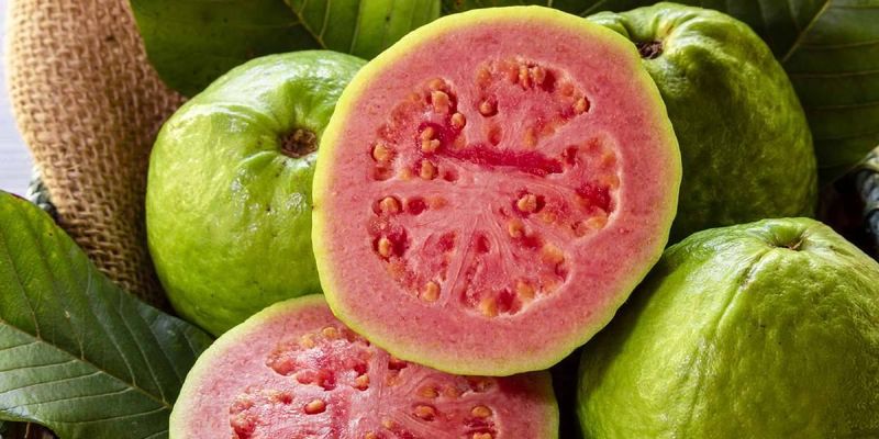 Guava
