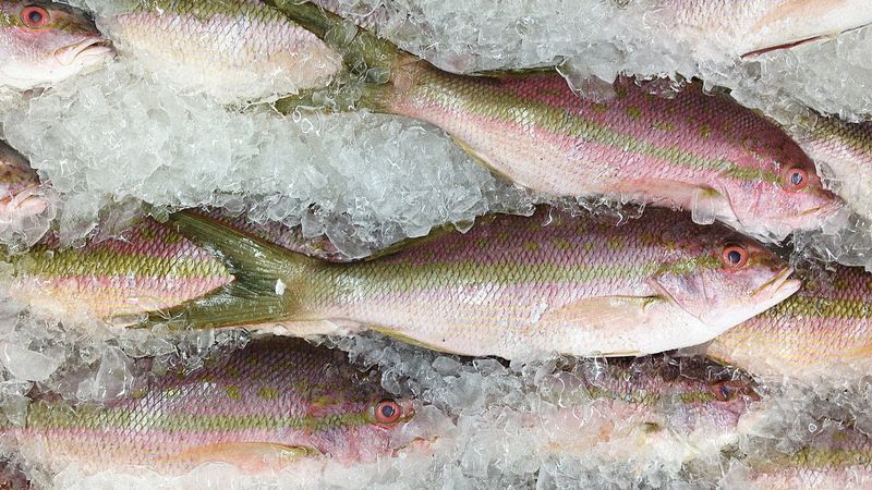Grouper