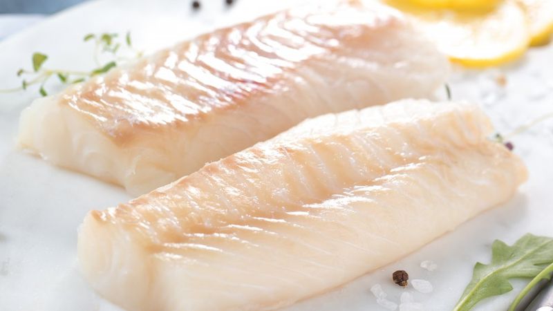 Atlantic Cod