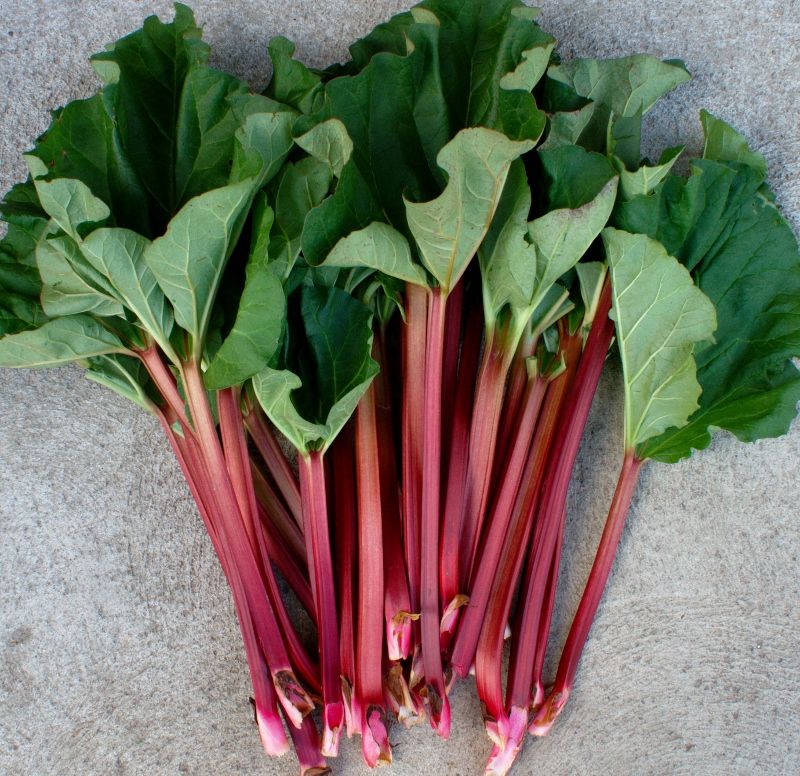 Rhubarb and Berries