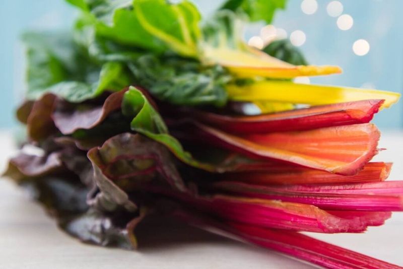 Swiss Chard: The Colorful Nutrient Powerhouse