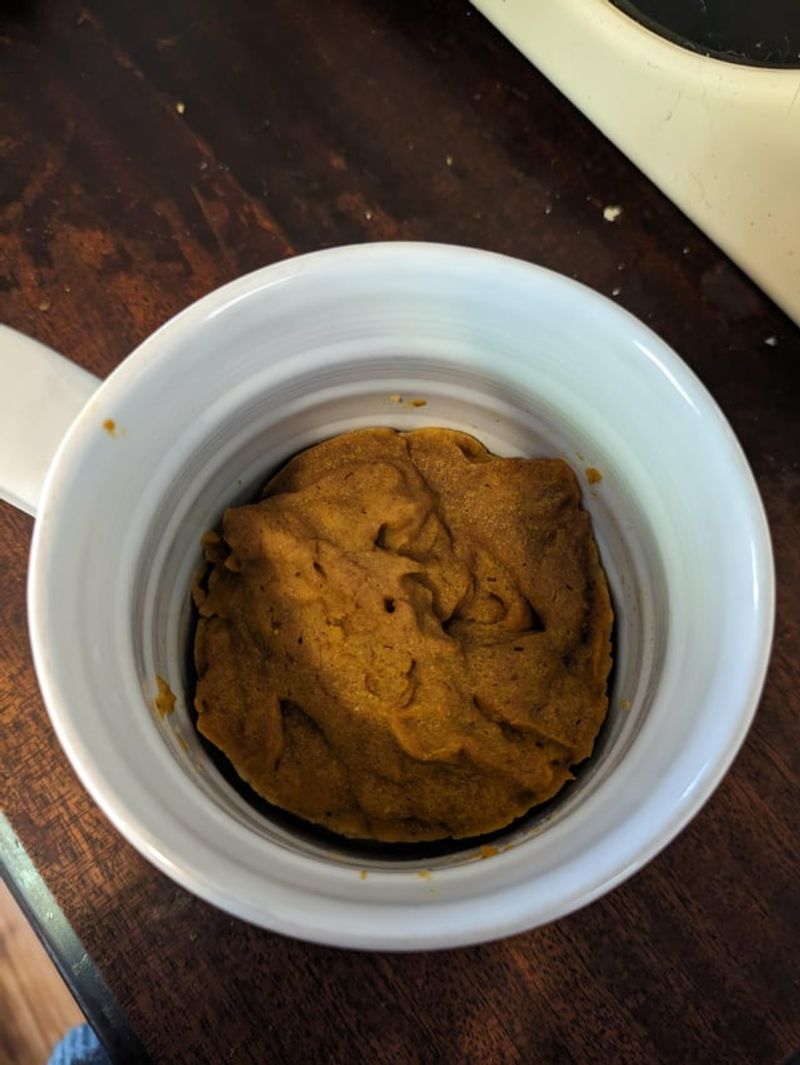 Microwave Mug Pancakes Turned to Rubber