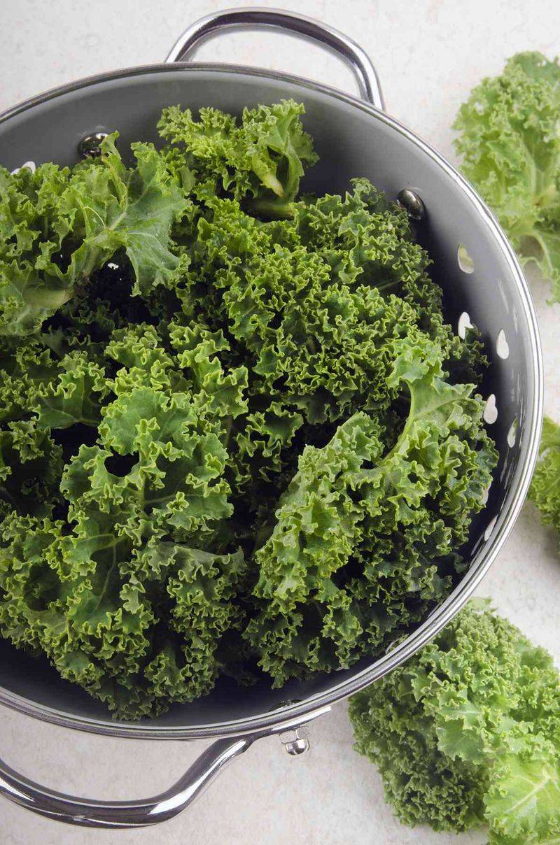 Kale: The Trendy Superfood That Lives Up to the Hype