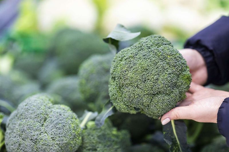 Broccoli: The Versatile Cruciferous Star