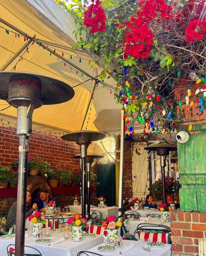 Overhyped: The Ivy
