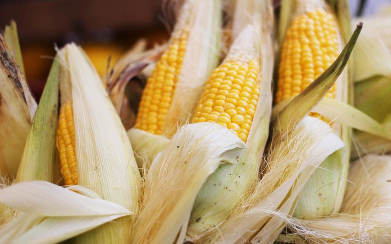 Corn