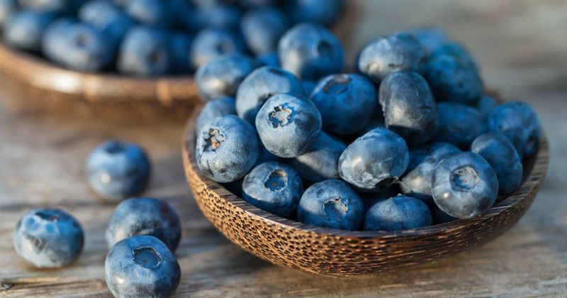 Blueberries – Antioxidant Powerhouse