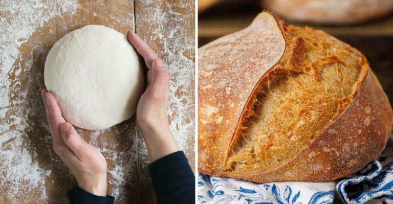The Only Sourdough Bread Guide You’ll Ever Need