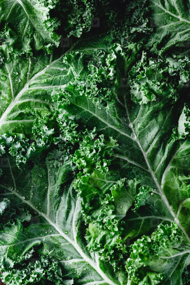 Kale