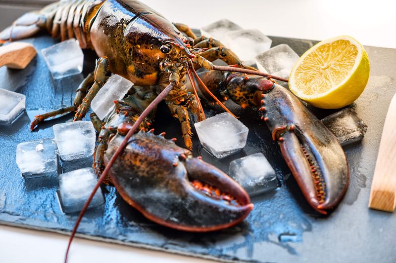 Lobster: From Prison Food to Ocean Royalty