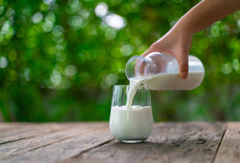 Full-Fat Dairy