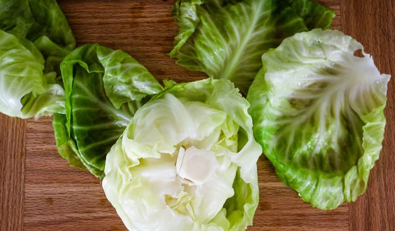 Parboil Cabbage Leaves