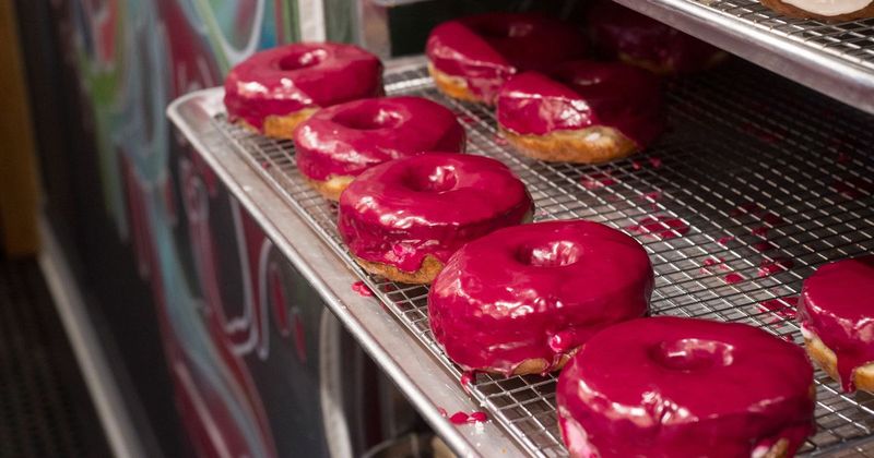 The Doughnut Project