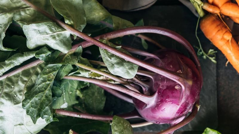 Kohlrabi