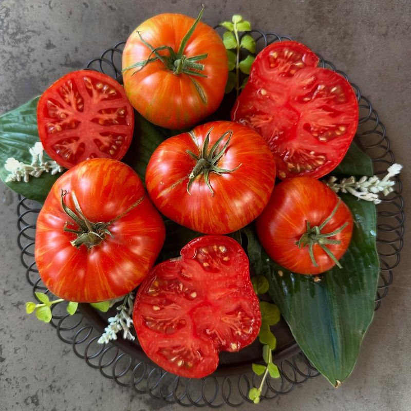 Nightshade Vegetables