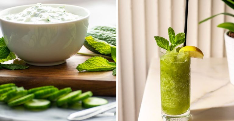 10 Must-Try Mint Recipes That Will Freshen Up Your Day and Brighten Your Taste Buds