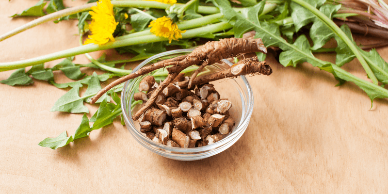 Dandelion Root