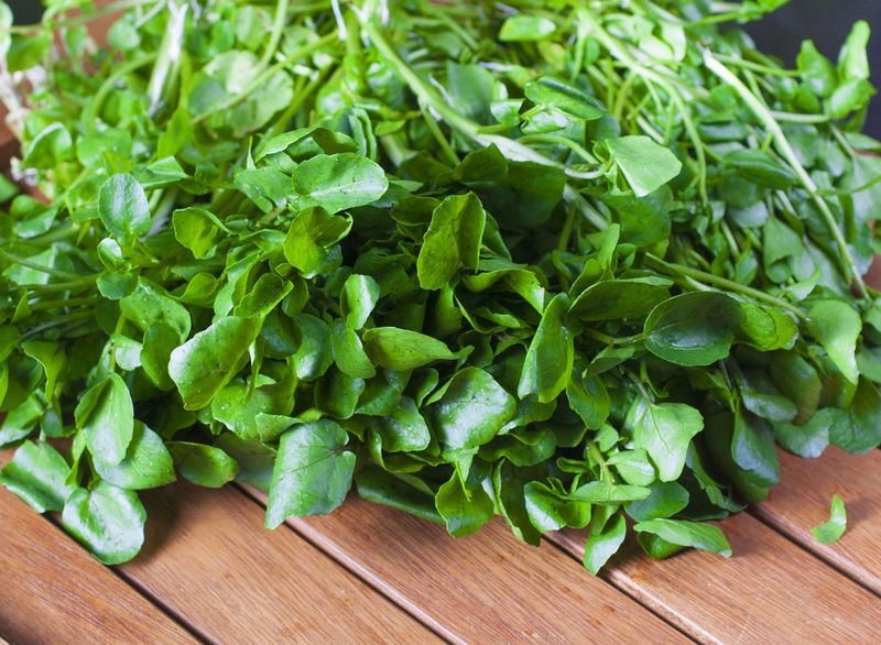 Watercress