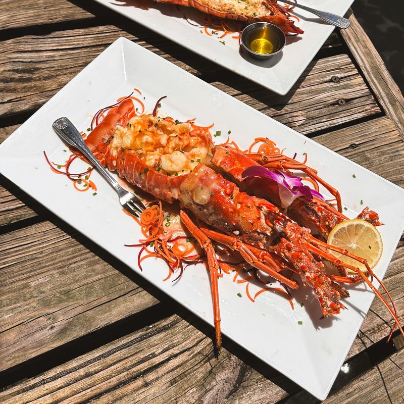 Lobster