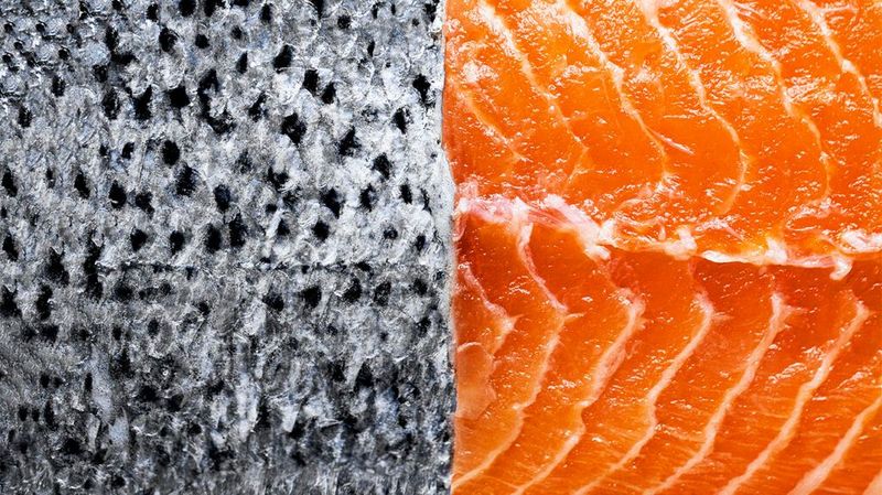 Omega-3 Powerhouse