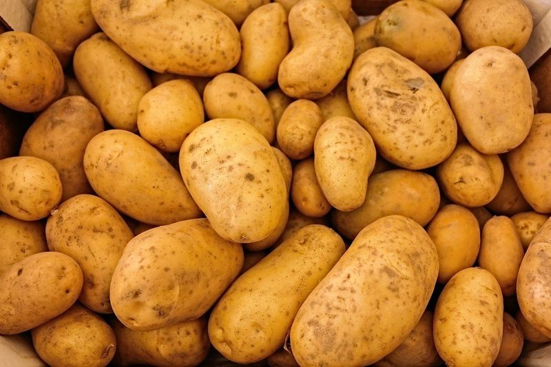 Potato Problems