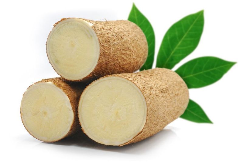 Cassava: The Hidden Cyanide Root