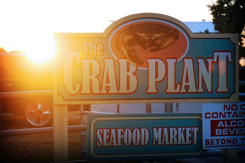 The Crab Plant