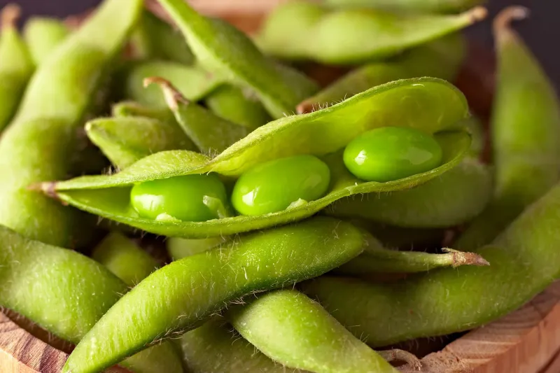 Edamame: Plant-Based Protein Powerhouse