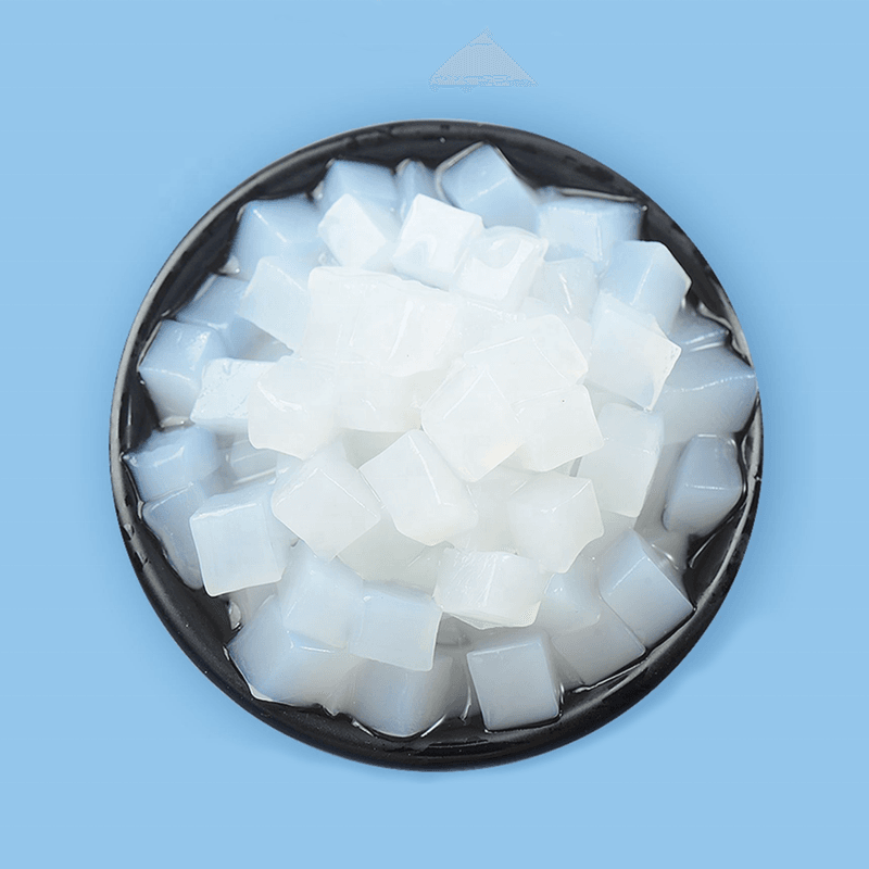 Coconut Jelly (Nata de Coco)