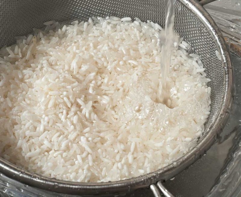 Rice