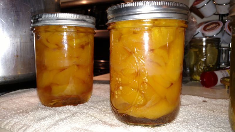 Jackfruit