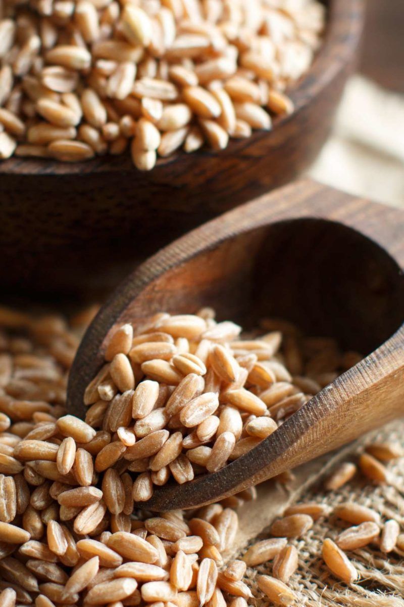 Spelt