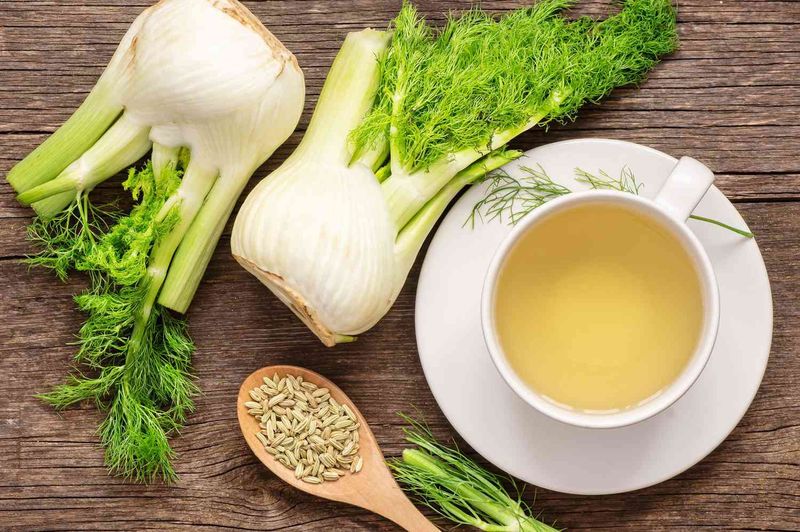 Fennel