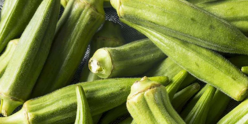 Okra