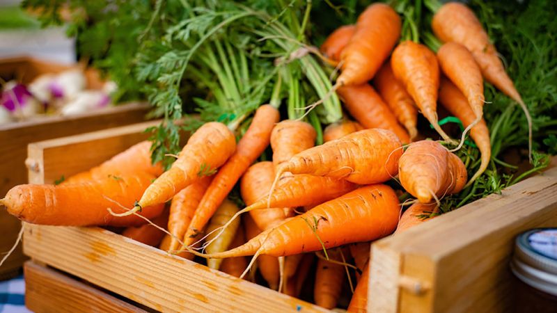 Carrots