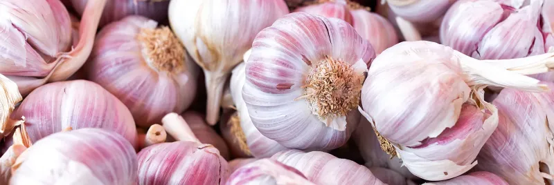 Garlic Activates Healing Properties When Raw