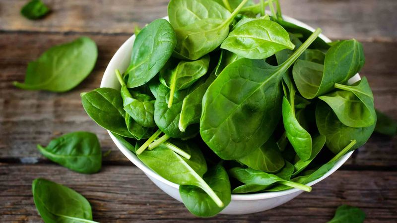 Spinach Preserves Folate When Fresh
