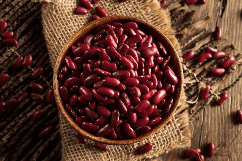 Red Kidney Beans: The Toxic Legume