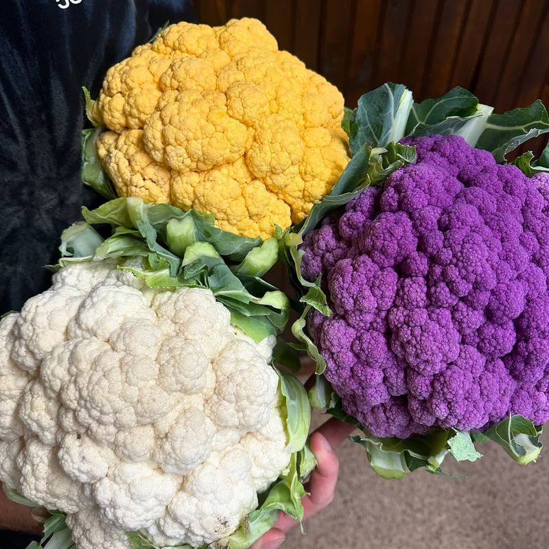 Cauliflower