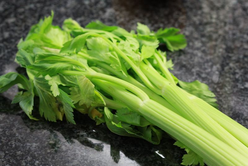 Celery