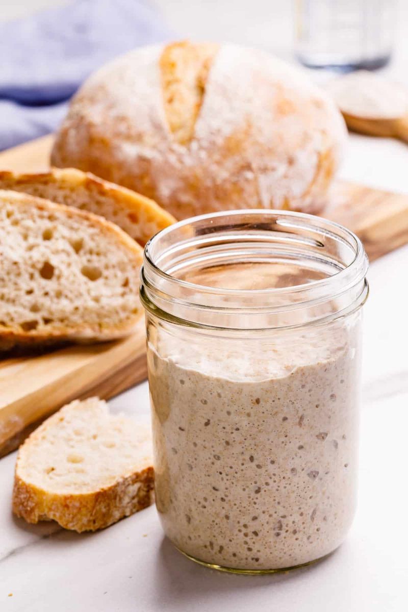 Sourdough Starter
