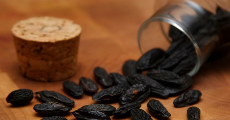 Coumarin: The Toxic Vanilla Impostor
