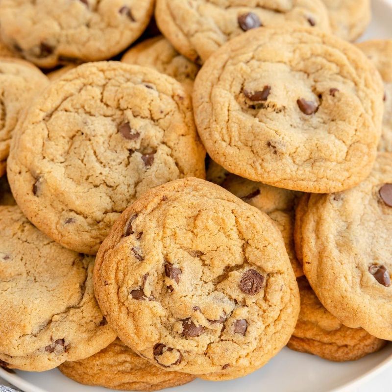 Chocolate Chip Cookies Fresh From the Oven
